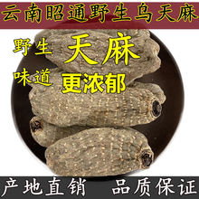 野乌天麻云南昭通深山生天麻非长白山贵州可代切片磨粉真货好货