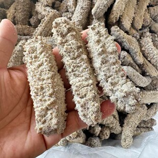 ��ɺ����S�� ����������؛16�^80�^35�^ˮ�l��Ʒ�|�S�Ⅲ��̖