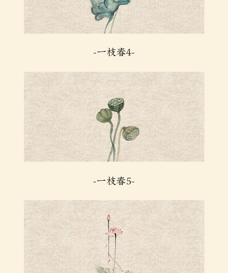 详情图