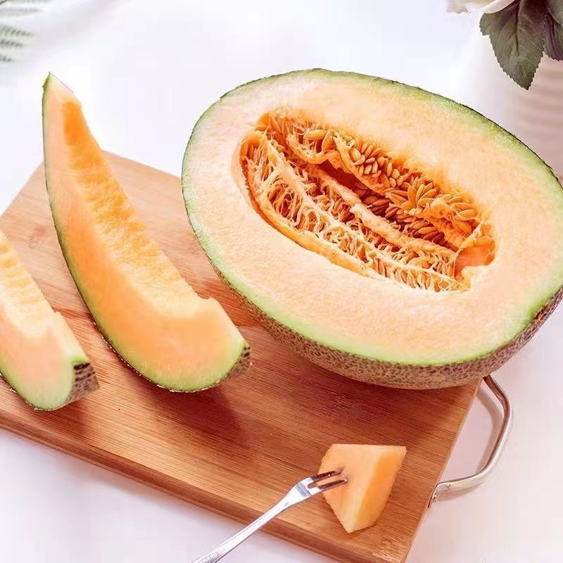 海南哈密瓜現摘西州蜜瓜2斤/5斤裝  新鮮當季水果