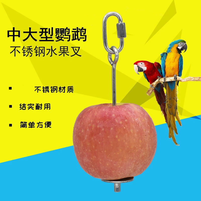 Попугай Нержавеющая сталь Фруктовая вилка попугай стеллаже