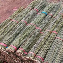 ï��տ��ꖽ����l���۷������������S�Gɫ��U����U����������