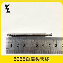 5��5255�ױ��^�����C���U�쾀������̖�s��7.3cmչ�_20.6cm