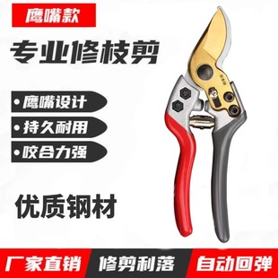 Outdoor Fruit Tree Pruning Scissors Pruning Workers Professional Thick Branch Shears Garden Scissors Flower and Grass Shears Tools Scissors Wholesale