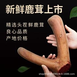 鹿产品;灵芝;非处方滋补膏