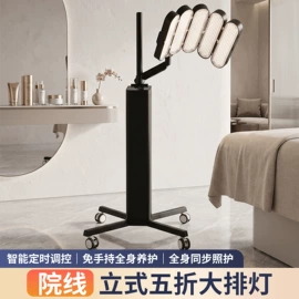 电子美容仪;洁面仪;面罩美容仪