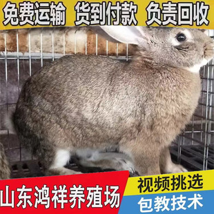 ���������߮a�����r�N�÷�ֳ�ʸ߻��w�����r�ù�ĸ�Ñ���ĸ�ð��]