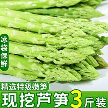 现采现发】新鲜细芦笋蔬菜绿芦笋去除老根嫩笋春笋龙须菜细笋包邮