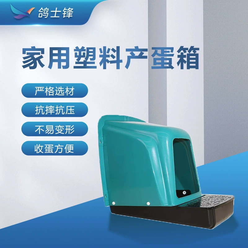 Новая пластиковая коробка для откладки яиц курица курица