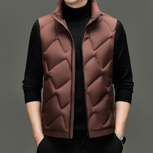 品牌秋冬季2025新款休闲羽绒马甲男士高级立领羽绒服保暖背心上衣