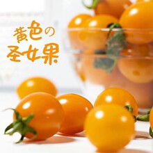 �Fժ�SɫС�����}Ů������С���t�����r��������ǧ�����Sһ�����l