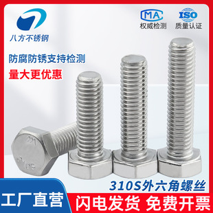 310S���P��������ݽz���L��˨��ĸ�����ȫM6M8M10M12M14M16M20