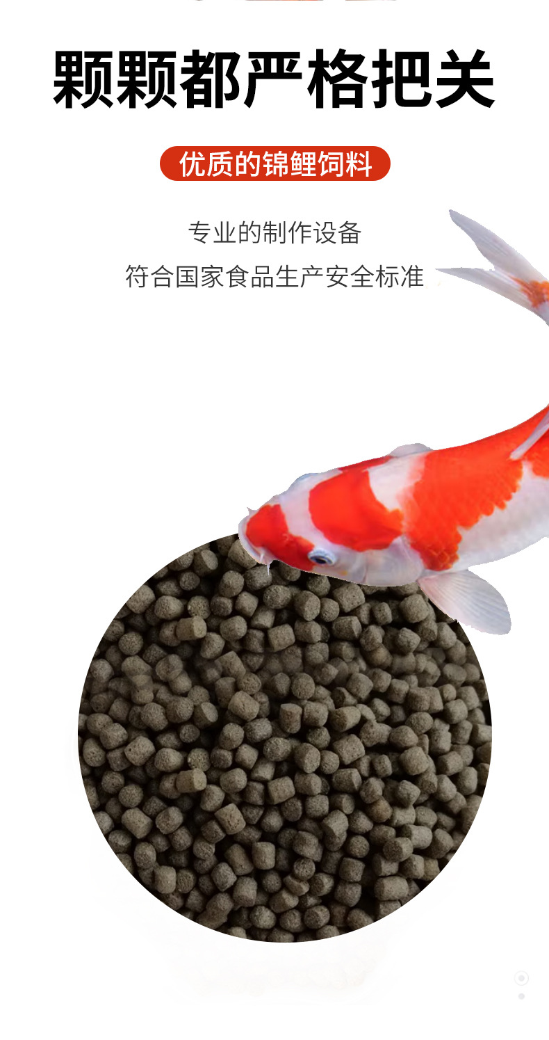 锦鲤饲料_02.jpg