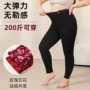源头打底大码外穿棉裤
