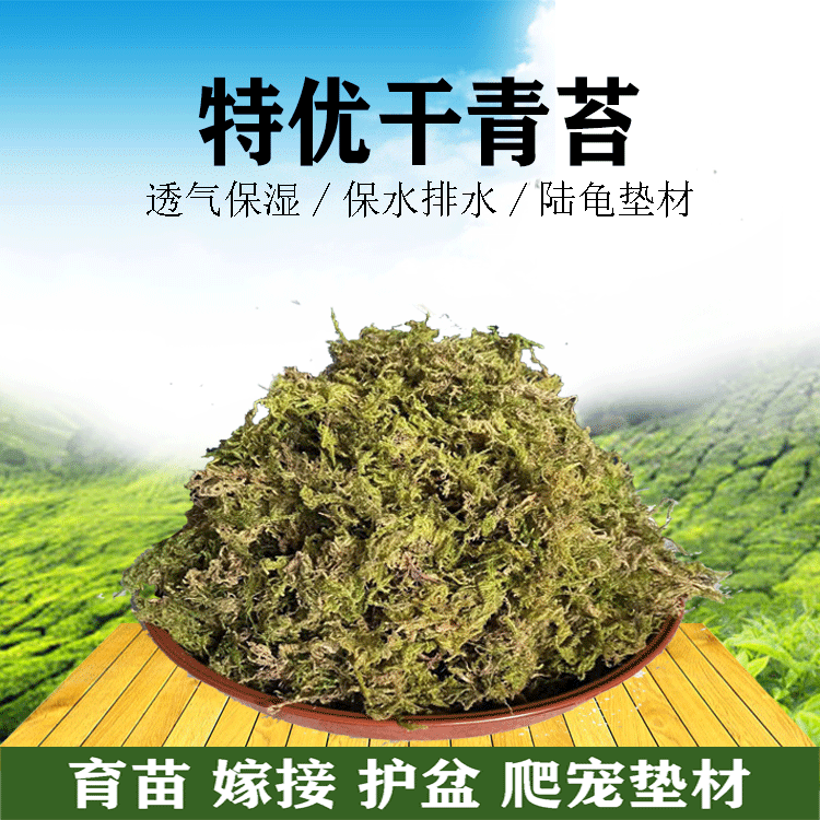 干苔藓水苔青苔乌龟运输冬眠垫材兰花石斛种植嫁接植料水草