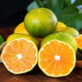 蔬菜罐头;传统糕点;水果罐头