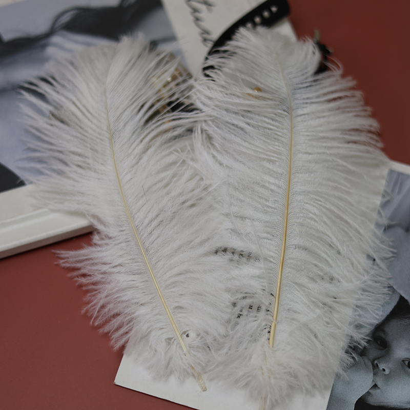 Plumas de avestruz bodas blancas de avestruz guía de plumas accesorios de fotos adornos rojo rosado en línea grandes plumas decoración