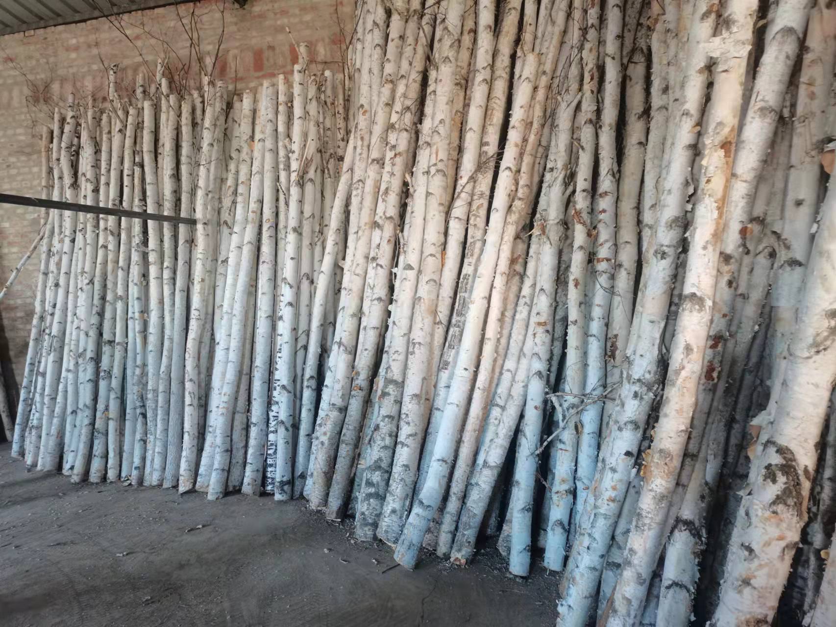 0b4e4411f7c32fbf428b90814a7b18