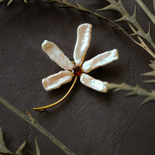 �lؔ����|���Ů�ػ�С���OӋ���߹���p�ݴ��ins