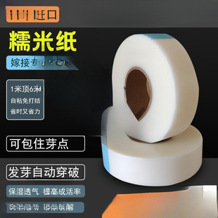 Glutinous Rice Paper Grafting Film for Tree Grafting, Self-Adhesive Fruit Saplings, Roses, No-Disassembly, Biodegradable Wrapping Straps for Commercial Use