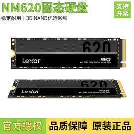 雷克.沙NM620固态硬盘256G 512GB台式机Nvme硬盘笔记本电脑SDD适