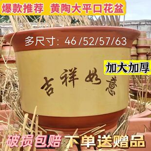 �ش����մɴ�̖��ɰ͸��t���������m������������lؔ������m