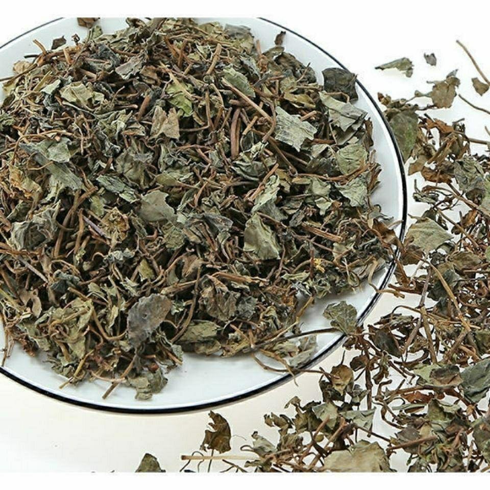 Dried Jin Qian Cao 金钱草 Loose Herb Slices for Traditional Tea and Decoction 500g specifications