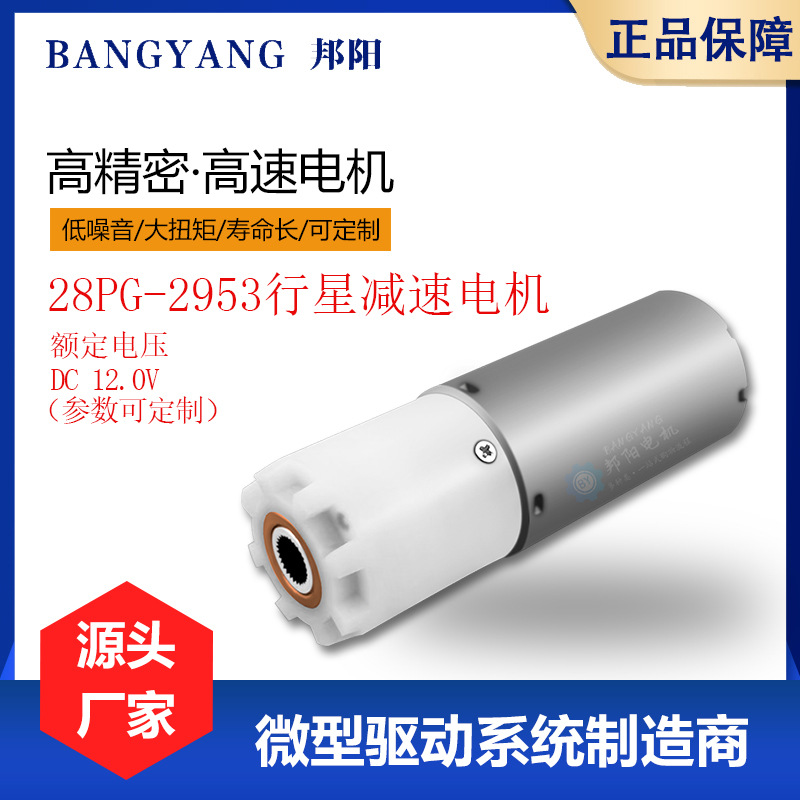 28PG-2953 커피 그라인더 모터 페퍼 쥬서 마이크로 DC 행성 기어 감속기 모터