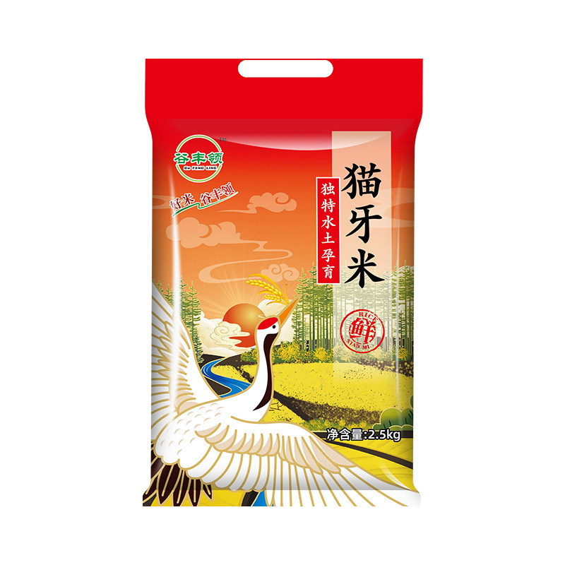 多功能螺母