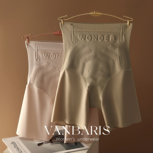 VANBARIS�p�ݰl�ݏ������Ĺ��������w�ޏͳC�θ��������ո���ѝŮ