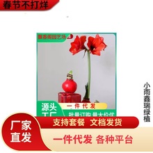 ��������피t�N���Ϟ�Y���M����������҃��^�p�oˮ��������_��