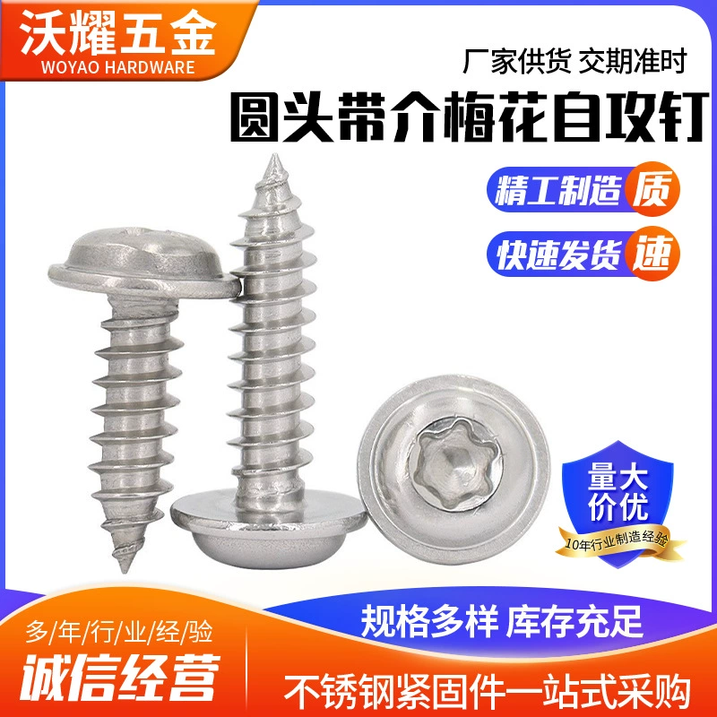 304 сливовые головки из нержавеющей стали с круглой головкой с прокладкой саморезающий винт сливовой канавки с самонарезающий винт M2/M3/M4/M5