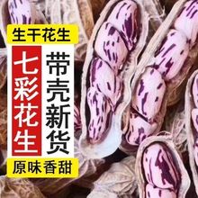 2025���»������߲ʻ���ţ�̻�������������������ɹ��������