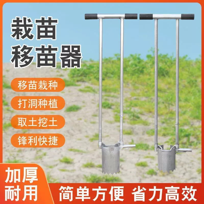 Саженцы кукурузы из нержавеющей стали