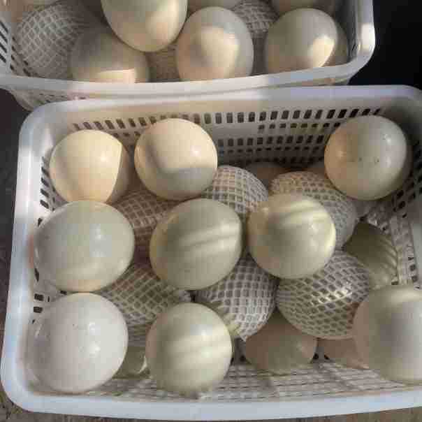 c74f79a9170a4b1702943007bd586f