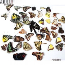 ��Ʒ������˱�͐���P��ԭ��A1Ʒ�|��ͯ�����ֹ����ƹ��߲ĉ�����