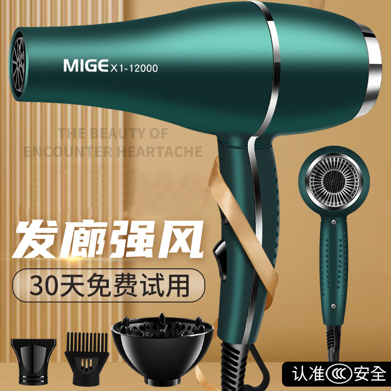 Secador de pelo profesional de alta potencia, aire caliente y frío, uso doméstico o de peluquería