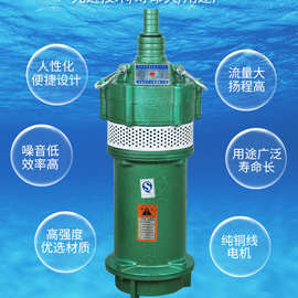 灌溉潜水泵  多种规格抽水泵  高扬程潜水泵图