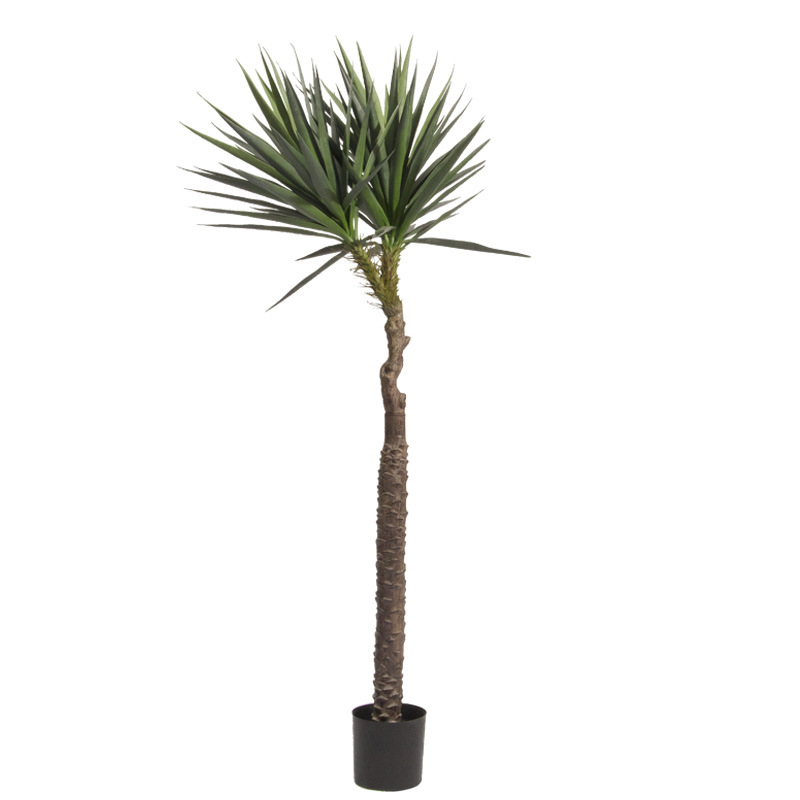 擦掌摩拳之春季寻花问柳