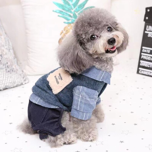 Pet Small Dog Clothes Autumn/Winter Style for Pomeranian, Bichon, Small Dog, Teddy, Four-Legged Suit, Puppy Casual, Thick Warm