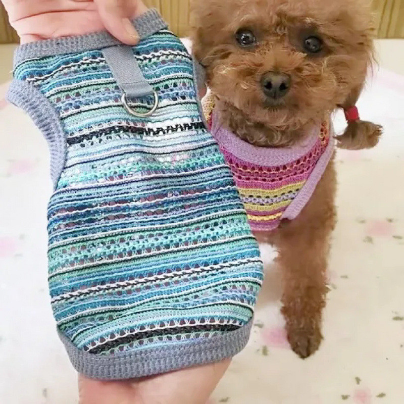 Ropa para perros mascotas gatos Teddy Boomerang pequeña princesa encantadora que oso hueco chaleco encantador puede ser traído