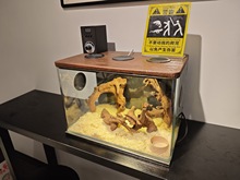 ����С���� �߸��،m���x��֩������b