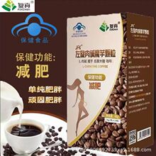 ����JFK�������|ħ���w���p�ʿ��ȿ����w��֬��ȼ֬������ʳ�w�S