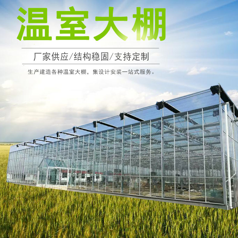 玻璃温室大棚 农业观光智能种植栽培温室建造 温室工程建设