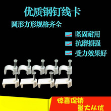 W W̶ ᔾ 늾 W  100ֻ/