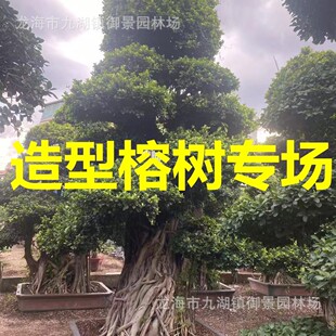�����Ř�С�~�Ř��^ �ļ����ྰ�^�Ř� �e��ʾ���^��ֲ���͘����l
