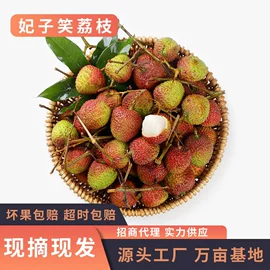 番薯类;其他水果;香蕉