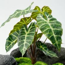 ֲ^~羳@쾰˽~Gbָ^ɏl