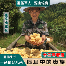 ����o�����ľС�zҰ���r�ҳ��������Ŵ�����y��