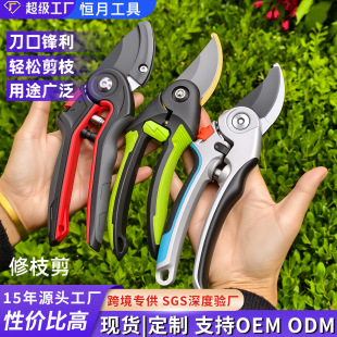 ���ƈ@ˇ������֦�������޼�������֦ʡ���@ˇSK5�����h����֦��